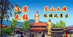 操b视频免费看江苏无锡灵山大佛旅游风景区